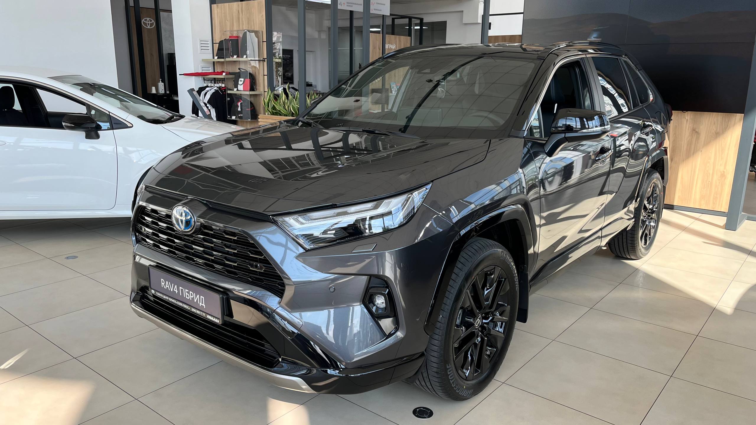 photo_2026_04_20_06_48_33